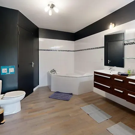 Ferienhaus La Clef Decamp Tanzanie 20pers Jacuzzi, Billard Baby, 30min *